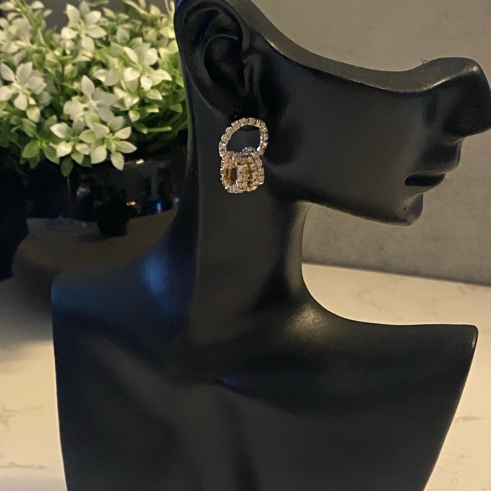 Faux Fashion Earring